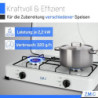 Z.M.C Gaskocher Campingkocher 2-Flammig Gasherd Kochfeld inkl. Schlauch + Regler, für Propan LPG Gasflasche, 2.2 kW je Brenne