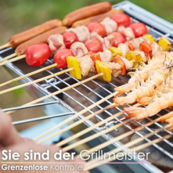 Steinborg Klappgrill | Laptopgrill | Campinggrill | Blitzschneller Aufbau | Hitzebeständiger Rahmen | Große Lüftungsschlitze 