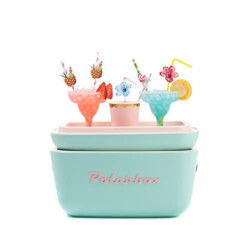 Kühlbox | Passive Kühlbox | Kühltaschen Polar in Retro Vintage Design aus Kunststoff mit polystyrol  Airpop  thermische Isoli