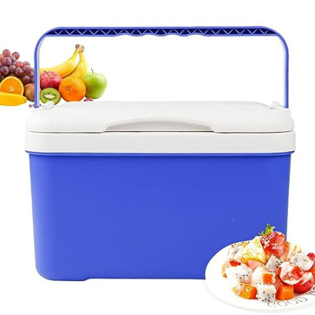 Tsuchiya Auto Kühlbox 6L Mini Kühlschrank Thermobox Mit Griff, Outdoor Passive Kleine Thermobox Für Essen Und Getränke, Eisbo