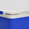 Tsuchiya Auto Kühlbox 6L Mini Kühlschrank Thermobox Mit Griff, Outdoor Passive Kleine Thermobox Für Essen Und Getränke, Eisbo