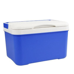 Tsuchiya Auto Kühlbox 6L Mini Kühlschrank Thermobox Mit Griff, Outdoor Passive Kleine Thermobox Für Essen Und Getränke, Eisbo