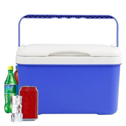 Tsuchiya Auto Kühlbox 6L Mini Kühlschrank Thermobox Mit Griff, Outdoor Passive Kleine Thermobox Für Essen Und Getränke, Eisbo