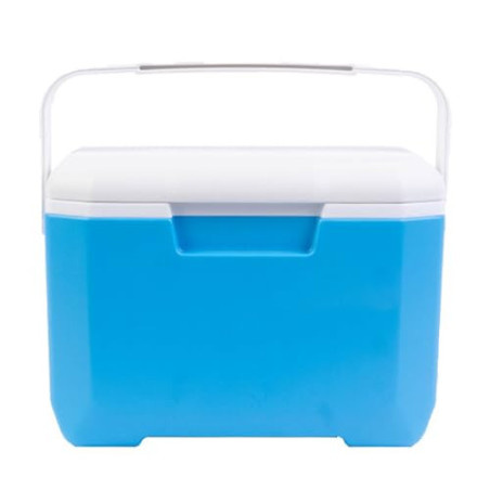 Ruhnjyg Kühlbox, Passive Kleine Thermobox Für Essen Und Getränke, Kalte Gefrierbox, Eisbox Mit Griff, 6L Fassungsvermögen, Ro