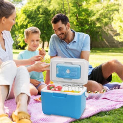 Ruhnjyg Kühlbox, Passive Kleine Thermobox Für Essen Und Getränke, Kalte Gefrierbox, Eisbox Mit Griff, 6L Fassungsvermögen, Ro