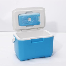 Kühlbox Passive Kühlbox Kühltaschen Aus Kunststoff Mit 1 Eisbox, 5 Eisbeutel Kühlbox, Auto Passive Kühlbox Mit Griff, Auto Kü