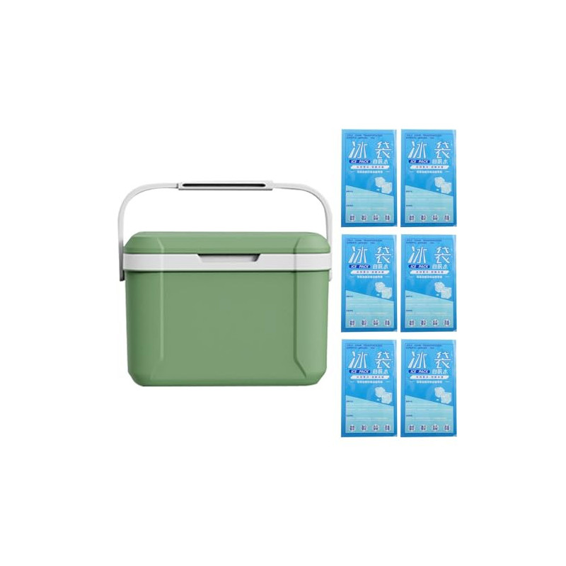 Portable Camping Picnic Cooler, 5L isolierte Kühlerbox, kühle Taschen für Picknicks, Eisbox mit Griff, Passive kleine Thermob Portable Camping Picnic Cooler, 5L isolierte Kühlerbox, kühle Taschen für Picknicks, Eisbox mit Griff, Passive kleine Thermob