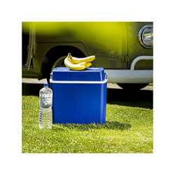 Mobile thermoelektrische 12V Camping Kühlbox fürs Auto und unterwegs mit Spannungswandler auf 230V