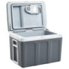 vidaXL Thermoelektrische Kühlbox Mobil Auto Camping Kühlboxen Elektrisch Mini Kühlschrank Klein Warmhaltebox 40 L 12V 230V En