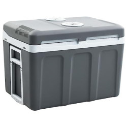 vidaXL Thermoelektrische Kühlbox Mobil Auto Camping Kühlboxen Elektrisch Mini Kühlschrank Klein Warmhaltebox 40 L 12V 230V En