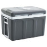 vidaXL Thermoelektrische Kühlbox Mobil Auto Camping Kühlboxen Elektrisch Mini Kühlschrank Klein Warmhaltebox 40 L 12V 230V En