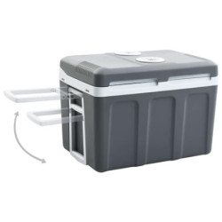 vidaXL Thermoelektrische Kühlbox Mobil Auto Camping Kühlboxen Elektrisch Mini Kühlschrank Klein Warmhaltebox 40 L 12V 230V En