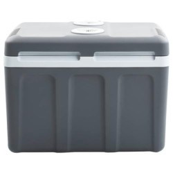 vidaXL Thermoelektrische Kühlbox Mobil Auto Camping Kühlboxen Elektrisch Mini Kühlschrank Klein Warmhaltebox 40 L 12V 230V En