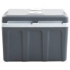 vidaXL Thermoelektrische Kühlbox Mobil Auto Camping Kühlboxen Elektrisch Mini Kühlschrank Klein Warmhaltebox 40 L 12V 230V En