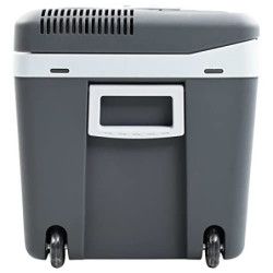 vidaXL Thermoelektrische Kühlbox Mobil Auto Camping Kühlboxen Elektrisch Mini Kühlschrank Klein Warmhaltebox 40 L 12V 230V En
