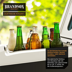 Brandson - Kühlbox elektrisch 10L – 230 V Netzspannung und 12 V KFZ Auto Bordspannung – kühlt und wärmt – Heizen max. 65°C – 