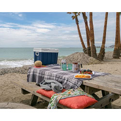 Mobicool MQ40W Kühlbox mit Rollen | Elektrisch | 39 L | 12V, 230V | für Auto, Boot, Reisemobil und Steckdose