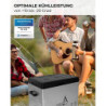PLUG IN FESTIVALS - elektrische Kühlbox - Kompressor Gefrierbox bis -20 Grad - Kühlbox Auto - Camping Kühlschrank - Powerstat