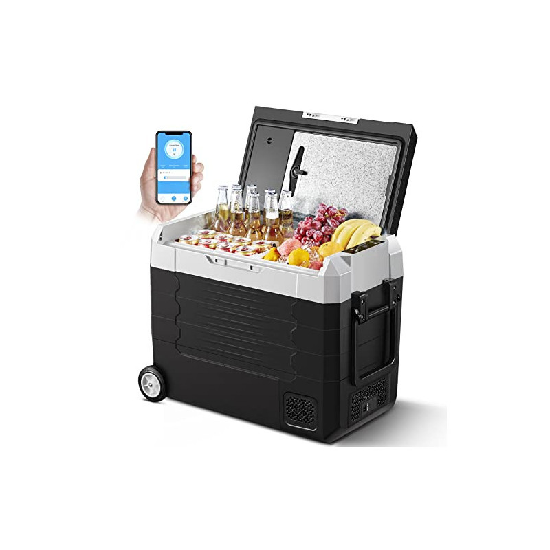 AAOBOSI Kompressor Kühlbox,Auto kühlschrank 55L, kühlbox für die Lagerung von Getränke und Essen,-20℃-20℃,12/24V für Auto,Ele