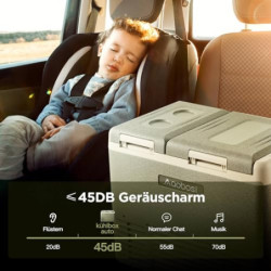 AAOBOSI Kompressor Kühlbox 25L, Kompressor Kühlbox Dual Zone, Kühlbox Auto -20°C bis 20°C, Kühlbox Elektrisch für Autos, Lkw,