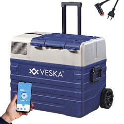 Kompressor Kühlbox elektrisch, Gefriertruhe mit APP-Steuerung, USB-Anschluss, 12/24V, 230V, Räder, transportabler Kühlschrank