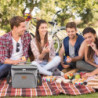 Lifewit Isolierte Kühltasche, Wiederverwendbare Lunchtasche, Tragbare Kühlbox, weiche Tragetasche, auslaufsicher, mit verstel