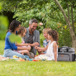 Lifewit 23L große Kühltasche für 27/32/48 Dosen, isolierte Lunch-Tasche, leichte, tragbare Kühltasche, doppellagig für Pickni