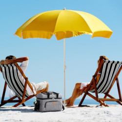 Lifewit 23L große Kühltasche für 27/32/48 Dosen, isolierte Lunch-Tasche, leichte, tragbare Kühltasche, doppellagig für Pickni