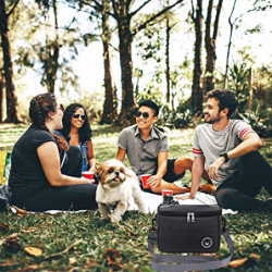 Fleymu Kühltasche Klein 5.7L, Lunchbox Tasche, Kühltasche Faltbar, Kleine Kühltasche, Lunchtasche, Lunchbag, Tragbar Lunchbox