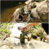 Purewell Wasserfilter Outdoor mit Austauschbarem Kohle-Wasserfilter 0,01 Mikron, 4 Filterstufen, tragbare Outdoor Notfall und