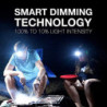 Energizer Stirnlampe LED, Superhelle Kopflampe für Camping, Outdoor und Wandern, Batterie Enthalten, Waldgrün, Forest Green: 