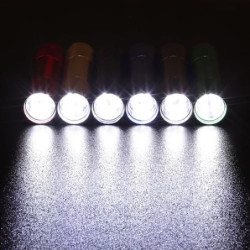 EverBrite 18tlg. LED Taschenlampen Set, mini kleine Kinder Taschenlampe mit Lanyard und 54 AAA Batterien, Mitgebsel Gastgesch