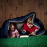 JAICOM Schlafsack - Kleines Packmaß Deckenschlafsack, Leicht & Dünn Sommerschlafsack - für Camping, Outdoor, Erwachsene, Wand