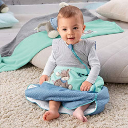Sterntaler Funktionsschlafsack für Kleinkinder, Esel Emmi, Ganzjährig, Wärmeregulierung, Reißverschluss, 70 cm, Blau/Mehrfarb