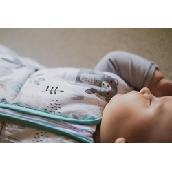 TupTam Ganzjahresschlafsack 2.5 TOG wattiert ärmellos Baby Schlafsack OEKO-TEX, Farbe: Bären/Füchse/Mint, Größe: 68-74