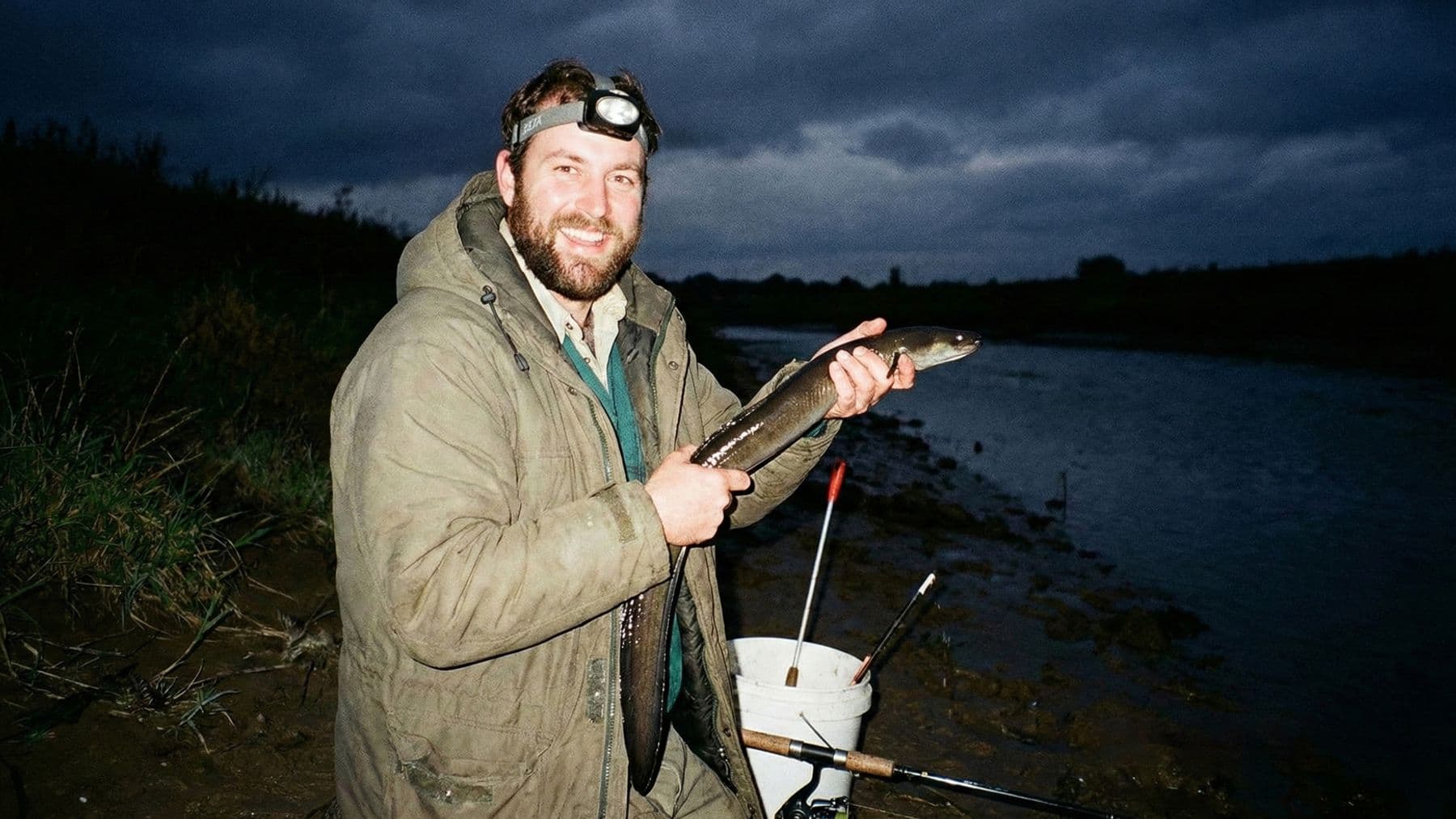 Aal, gefangen in der Nacht