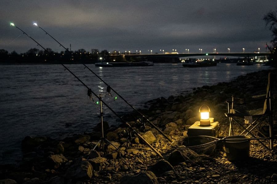 Aalangeln mit Grundmontage bei Nacht am Rhein