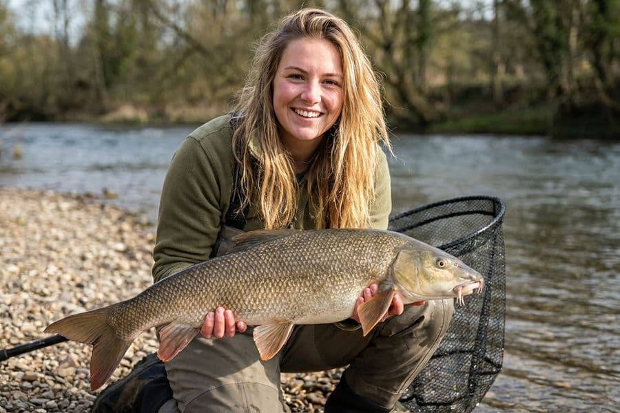 Frolic-Ringe als Köder für große Barben am Haken mit Haarmontage