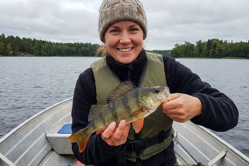 Verschiedene Barschköder – Gummifische, Wobbler und Spinner auf Holzuntergrund