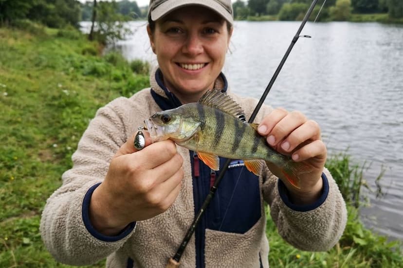 Mepps Aglia Spinner in verschiedenen Größen und Farben für Barschangeln