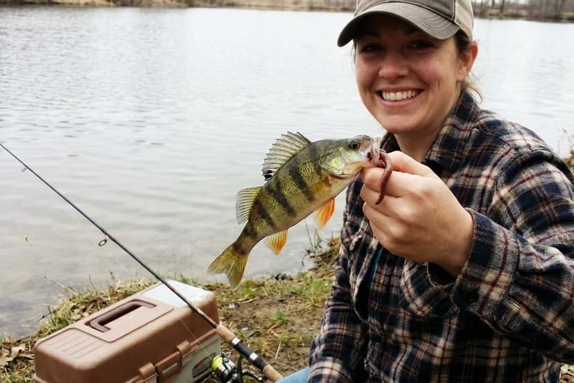 Kapitaler Barsch gefangen mit Tauwurm am Haken – natürlicher Köder für große Barsche