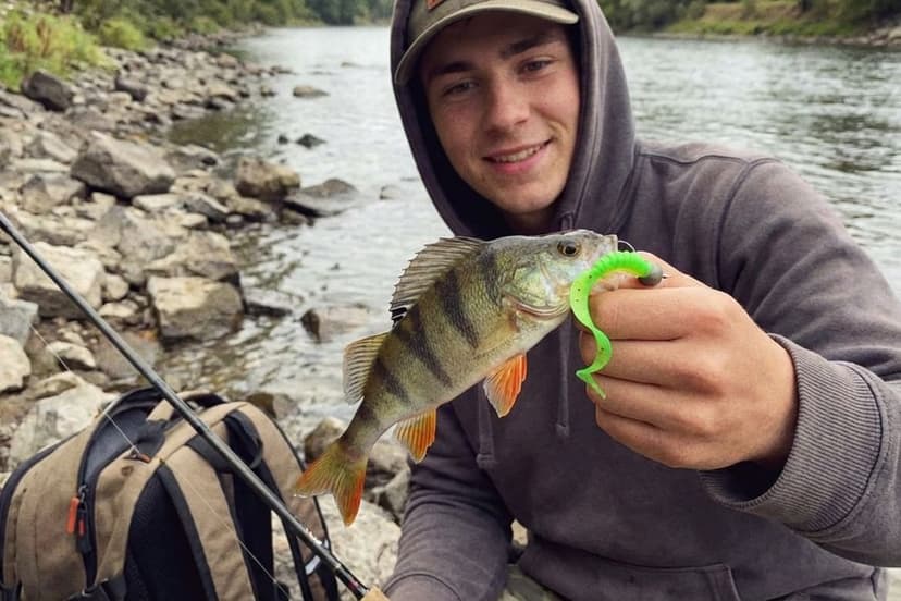Verschiedene Twister in unterschiedlichen Farben und Größen für Barsche