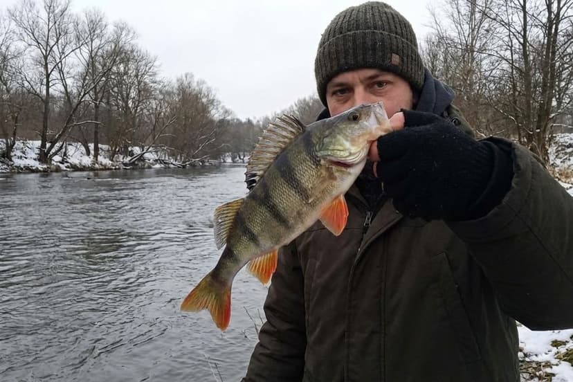 Barsch im Winter bei Schnee und Eis am Gewässer