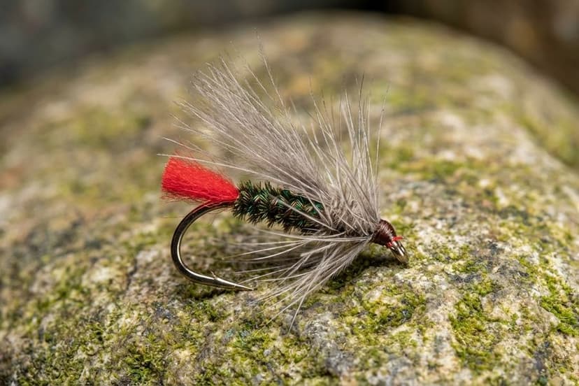 CDC-Fliege für Äsche – Red Tag Muster in Detailaufnahme