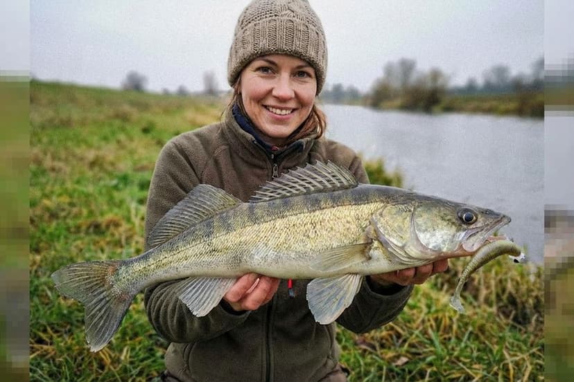 Angler beim Jiggen auf Zander am Rhein in der Abenddämmerung mit Gummifischmontage