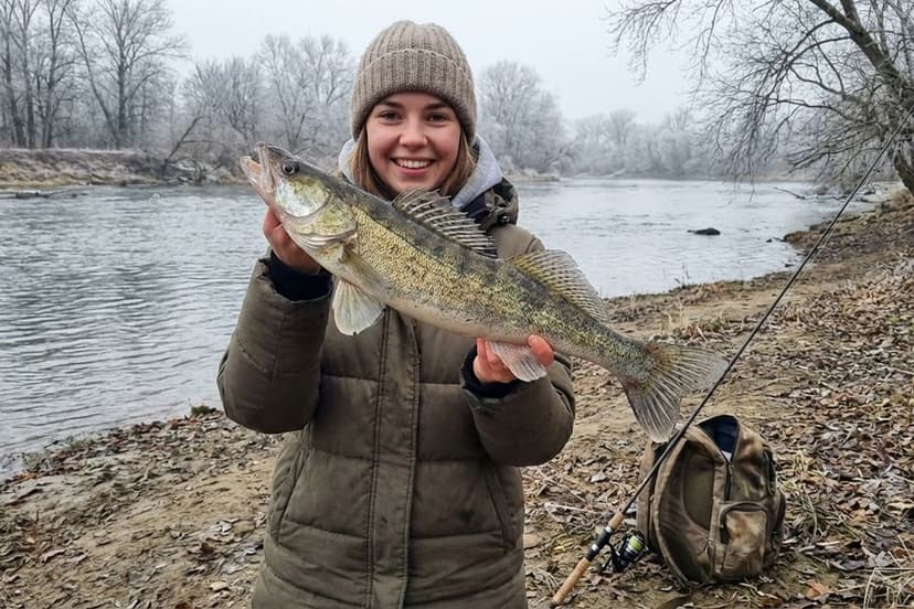 Kapitaler Zander auf Schnee neben Spinnrute im Winter