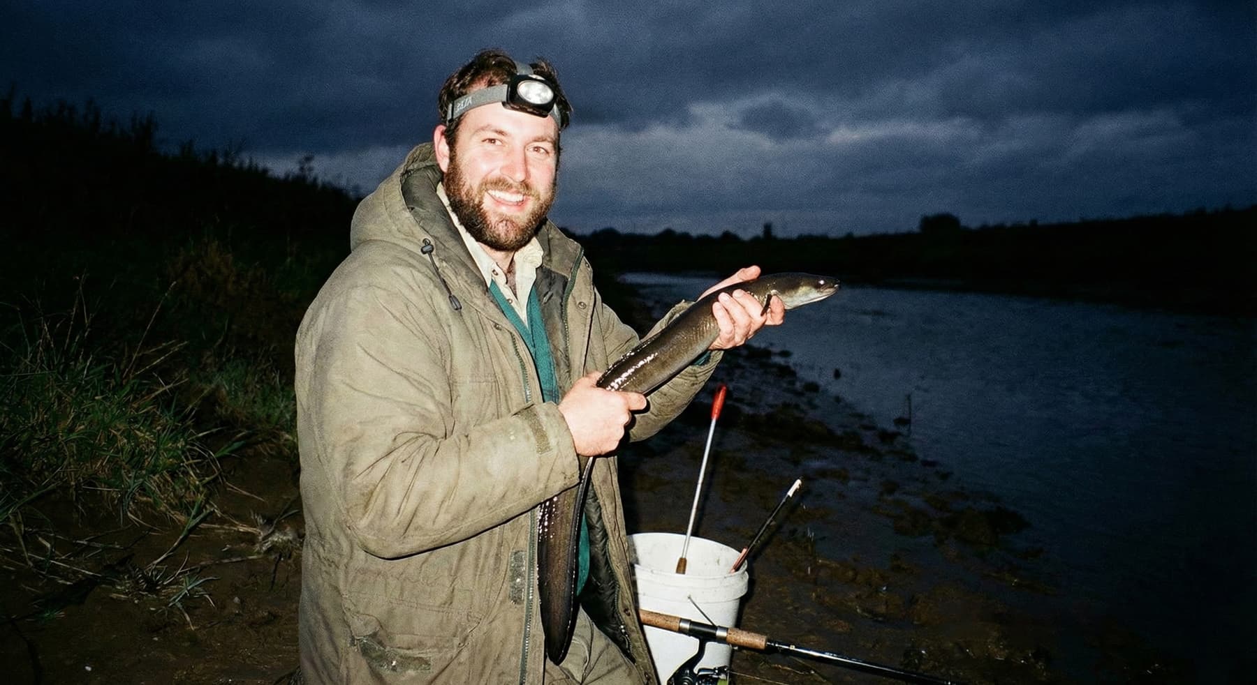 Aal, gefangen in der Nacht