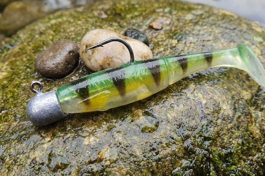 Gummifisch: Der fängigste Köder für Zander, Hecht und Barsch